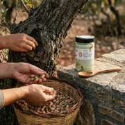 Dionysos Aegina Vanilla Cream with Pistachio Aeginas PDO 200g | Premium Greek Dessert Topping with Protected Origin Pistachio...